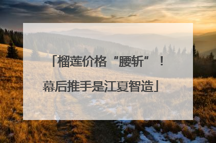 榴莲价格“腰斩”！幕后推手是江夏智造
